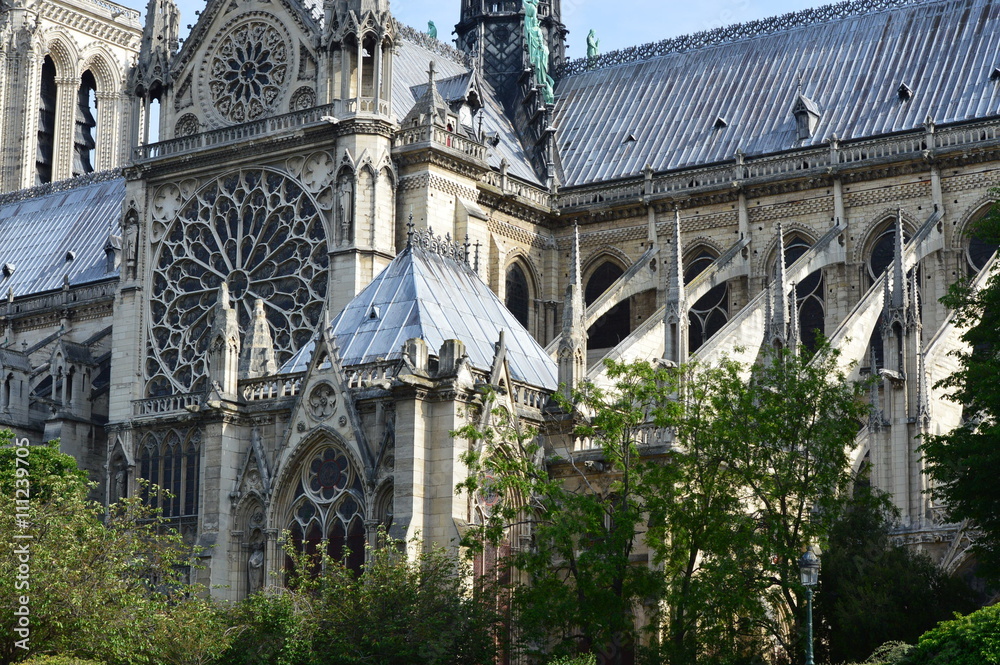 Naklejka premium Notre Dame de Paris