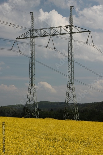 Rapeseed, field with high voltage power line