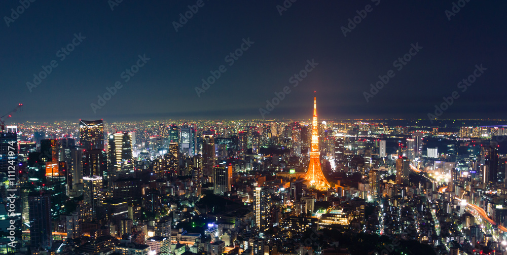 Tokyo Tower View at Night
