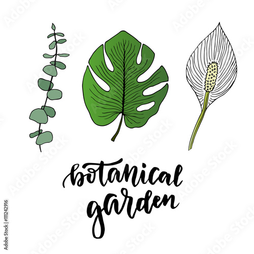 Tropical leaves vector set. Hand drawn vector illustration with leaves and flower. Colorful tropical garden isolated elements