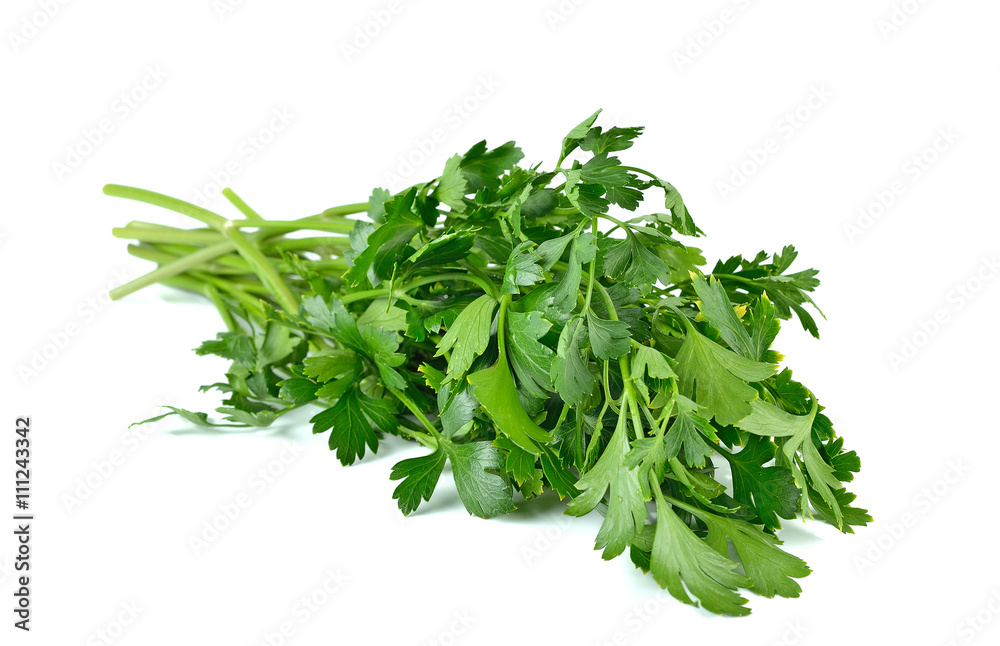 green leaves of parsley isolated on white background green leaves of parsley isolated on white background