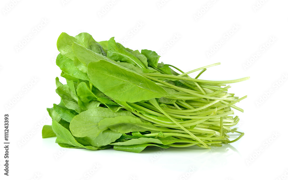 Sweet rucola salad or rocket lettuce leaves isolated on white ba Sweet rucola salad or rocket lettuce leaves isolated on white ba
