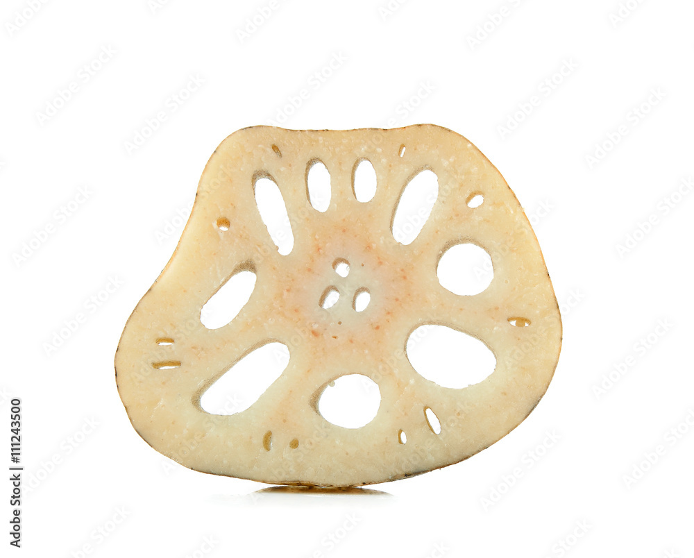 Lotus root on the white background Lotus root on the white background