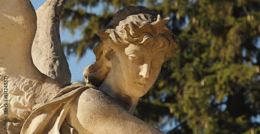 golden angel in the sunlight , Ukraine, Lviv, Lychakiv cemeterie