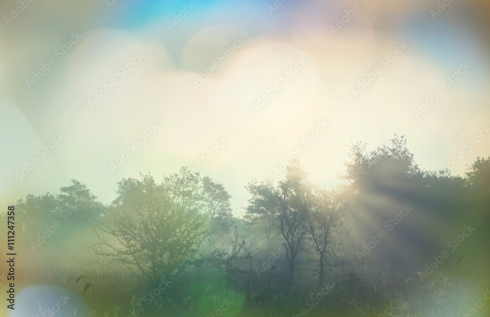 Naklejka premium Fog on meadow