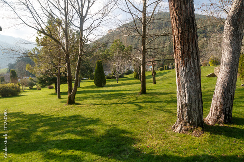 Gardev View with Pine