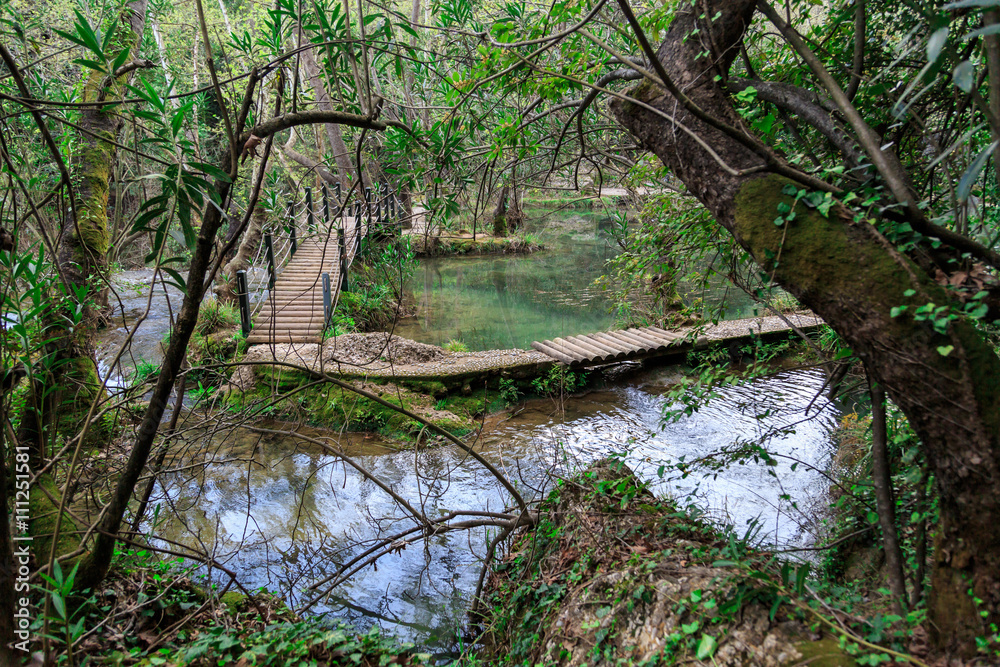 Obraz premium Wooden Bridge on Lake