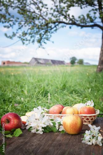 Apples and flowers on a background of green grass