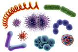 Microbes isolated on white background, 3D illustration. Bacteria of different shapes and viruses. Staphylococci, Streptococci, Neisseria, Treponema, rod-shaped, Escherichia coli, Klebsiella