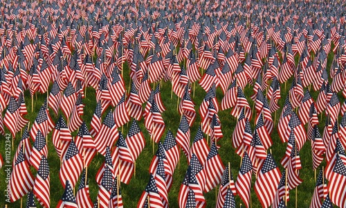 Field of American Flags