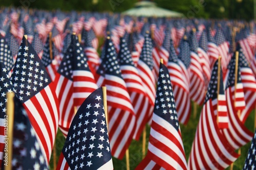 Field of Flags photo