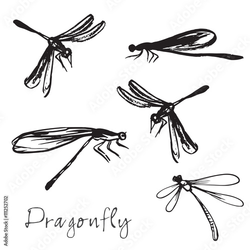 Set of different hand drawn dragonflies