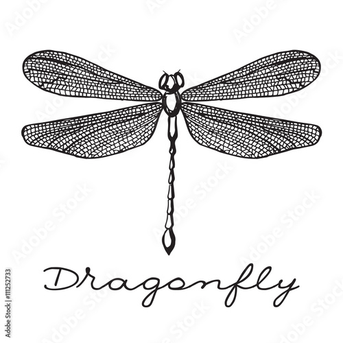 Hand drawn dragonfly with doodle drawn wings