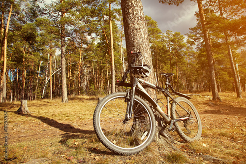mountain bike in the nature © bakharev