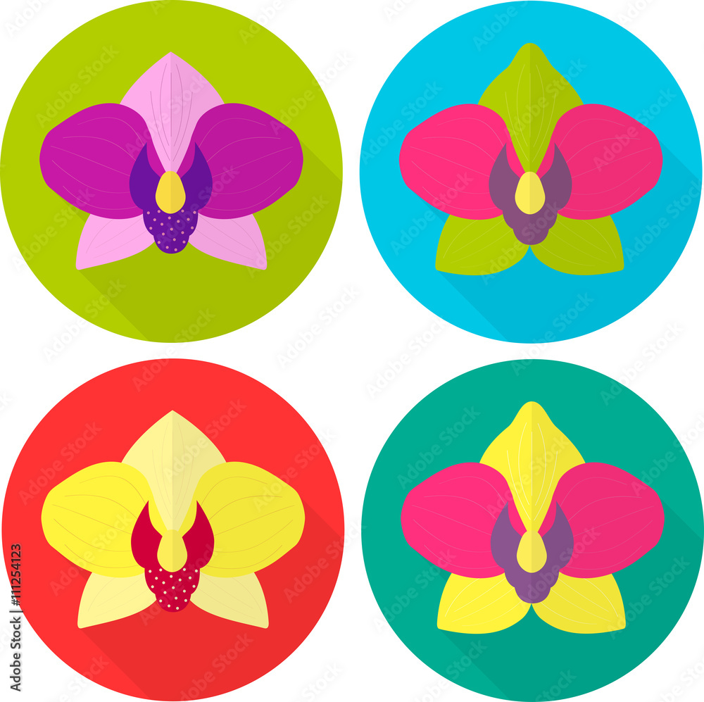 Flat icons of orchids. Blooming of exotic flowers. Vector illustrations of single bud. Flat icons of orchids. Blooming of exotic flowers. Vector illustrations of single bud.
