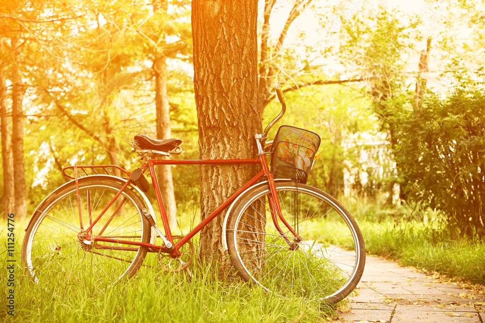 Fototapeta premium Vintage bicycle near tree in the park