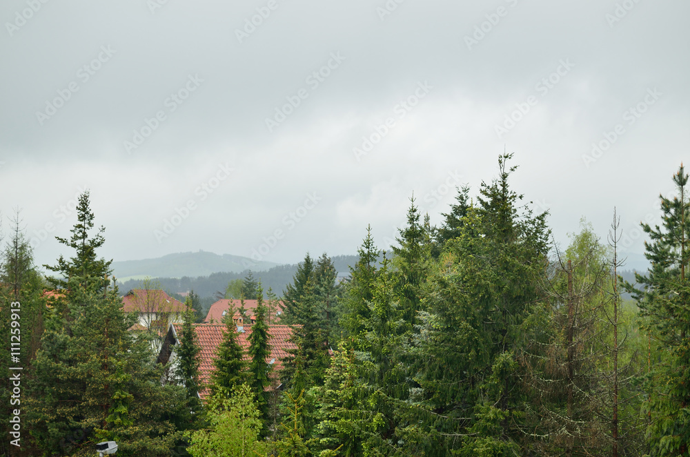 Scenic landscape with lush conifer trees, red roofs and hills in distance, on rainy day