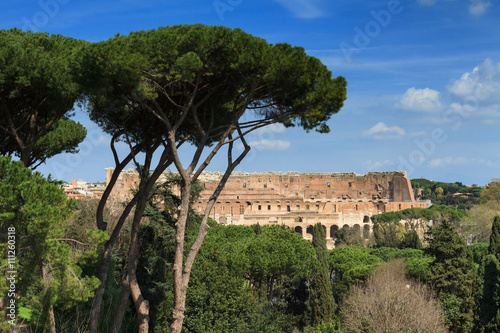 Coliseum as seen from the Palatine hill