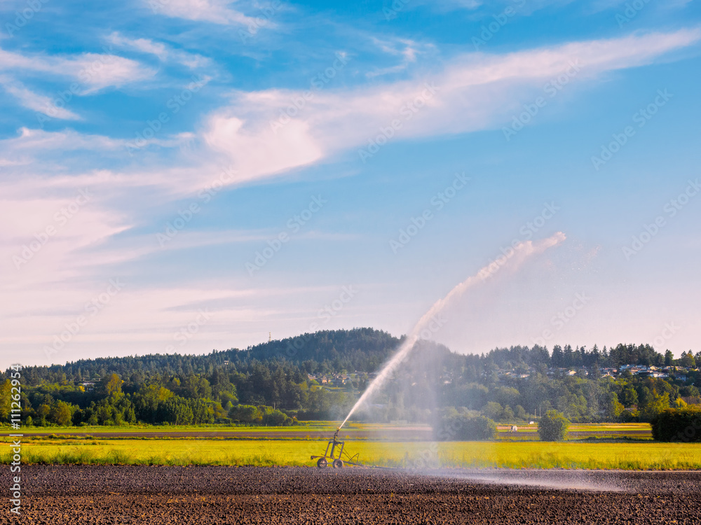 Irrigation system watering freshly seeded field Irrigation system watering freshly seeded field