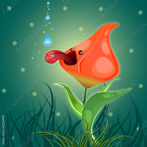 Tulip thirsty drop