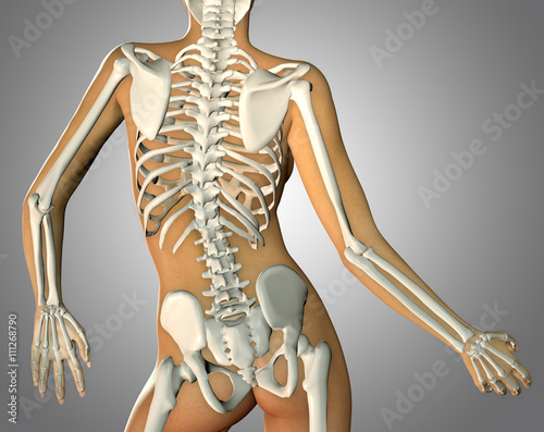 3d render of a back woman body and skeleton 