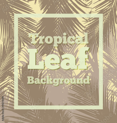 tropical leaf background