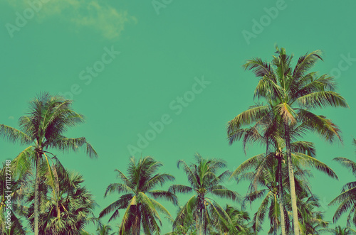  palm tree on blue sky background.