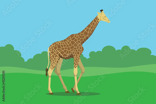 giraffe single isolated with grass and bush tree background vector graphic illustration