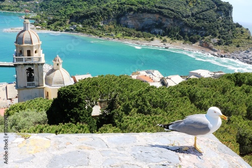 Seagull Larus michahellis and bell tower of church San Lorenzo in Porto Venere, Italy Ligurian sea photo