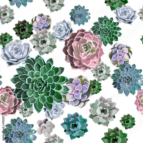 Seamless pattern of succulent plant on a white background.