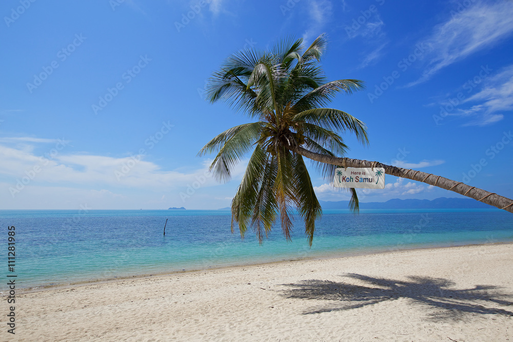 beautiful tropical beach white sand coconut tree with blue sky o