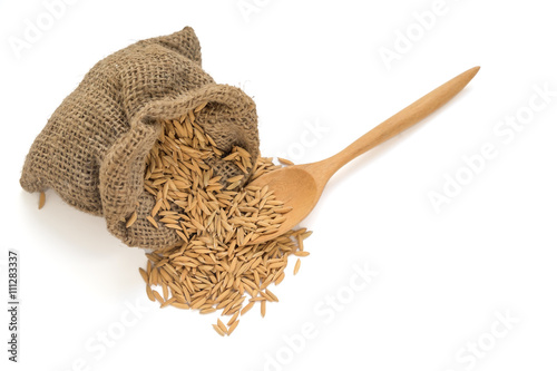 Isolated dry paddy rice grain in a sack with wooden spoon