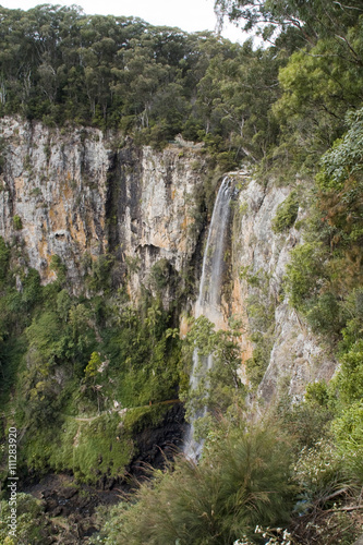 Steilwand mit Wasserfall - Australischer Regenwald