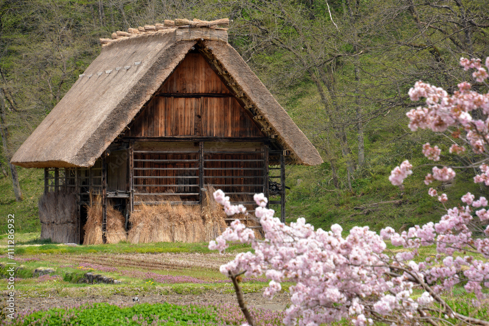 Shirakawa-Village world Heritage in Japan