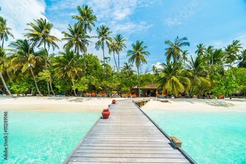 Fototapeta Naklejka Na Ścianę i Meble -  Maldives island