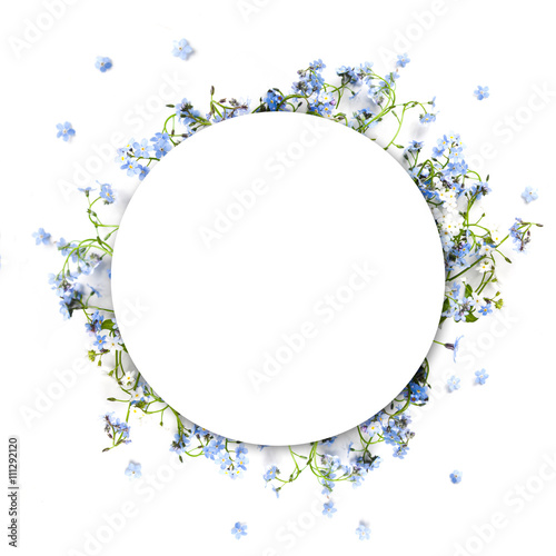 Forget-me-not blue forest flowers - nature circle background