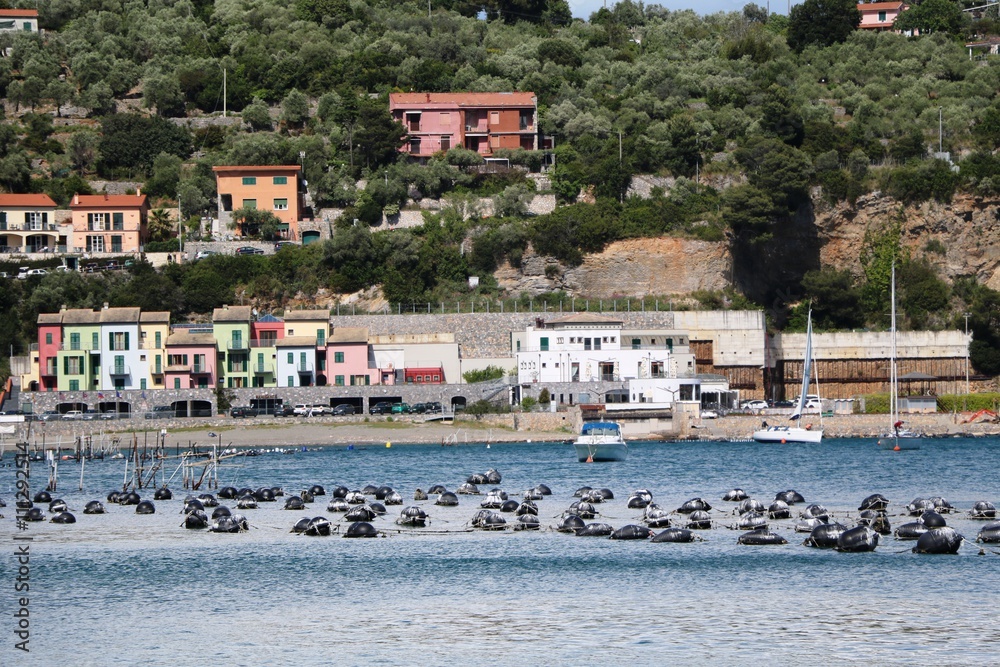 Mussels shellfish farming in Porto Venere on Ligurian sea Italy