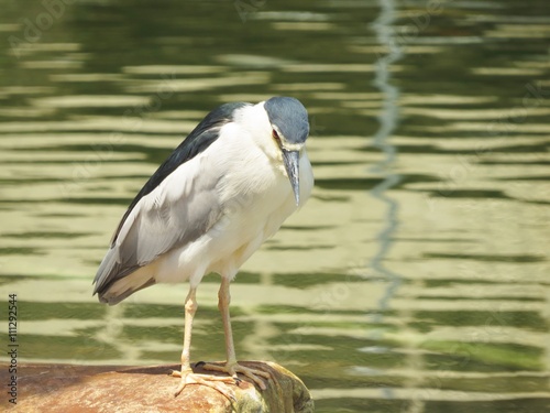 EGRET