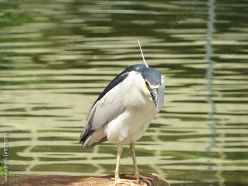 EGRET