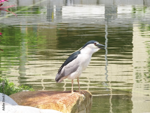 EGRET
