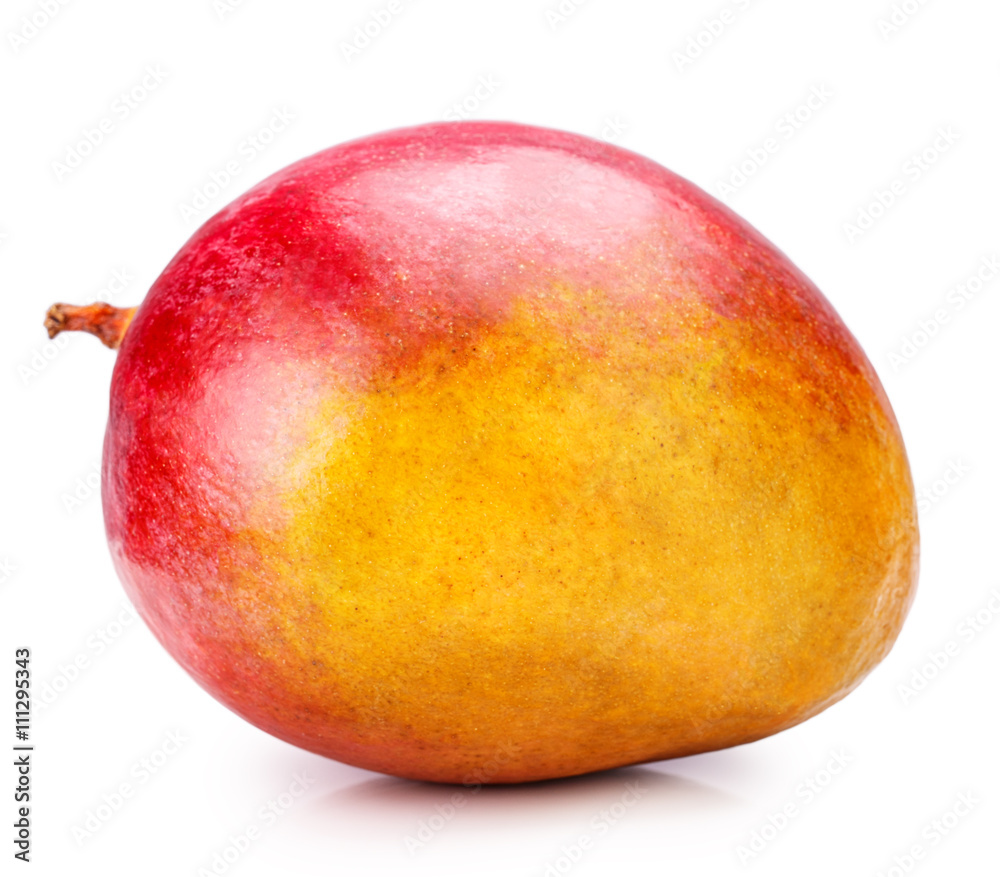 mango mango