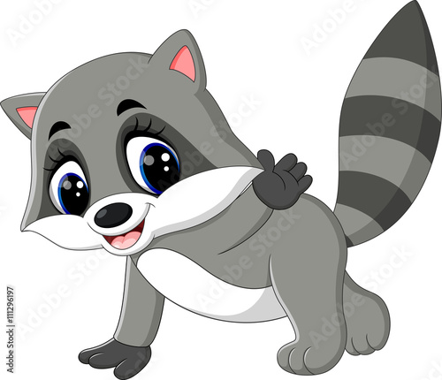 illustration of baby raccoon cartoon