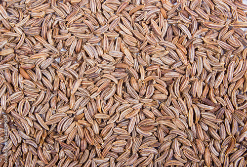 Close up of cumin seeds. Spice.