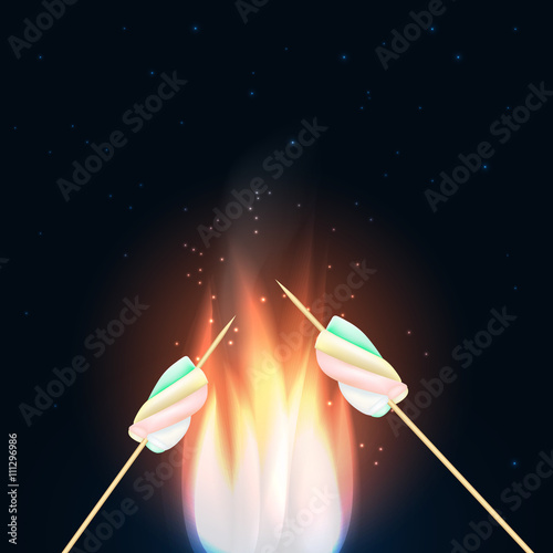  Camping fire with marshmallow on stick.Camping background.