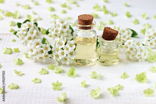 Botanical skincare treatment. Essential oils bottles, flower blossom framed around. Fresh fragrance beauty care.