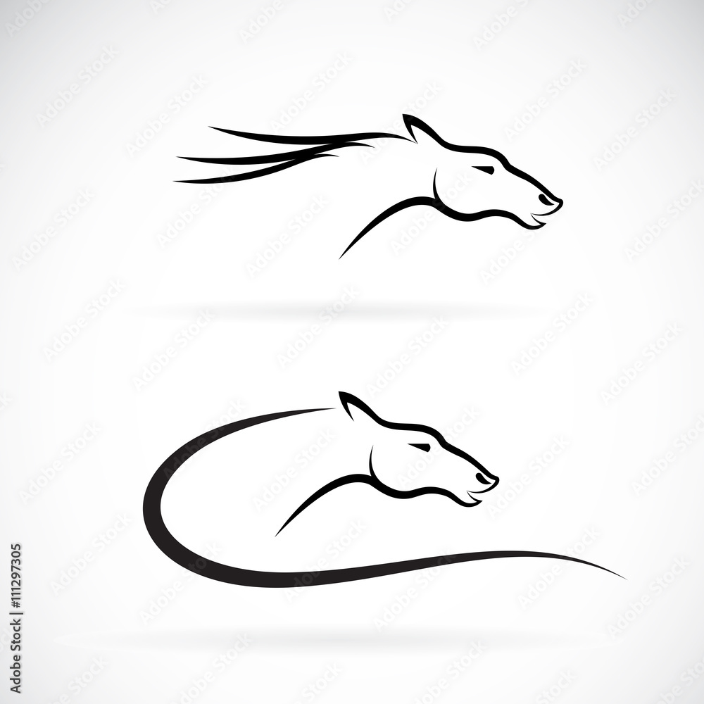 Fototapeta premium Vector images of horse head design on a white background