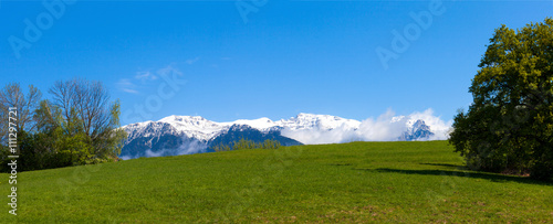 Snowy mountains with green meadow