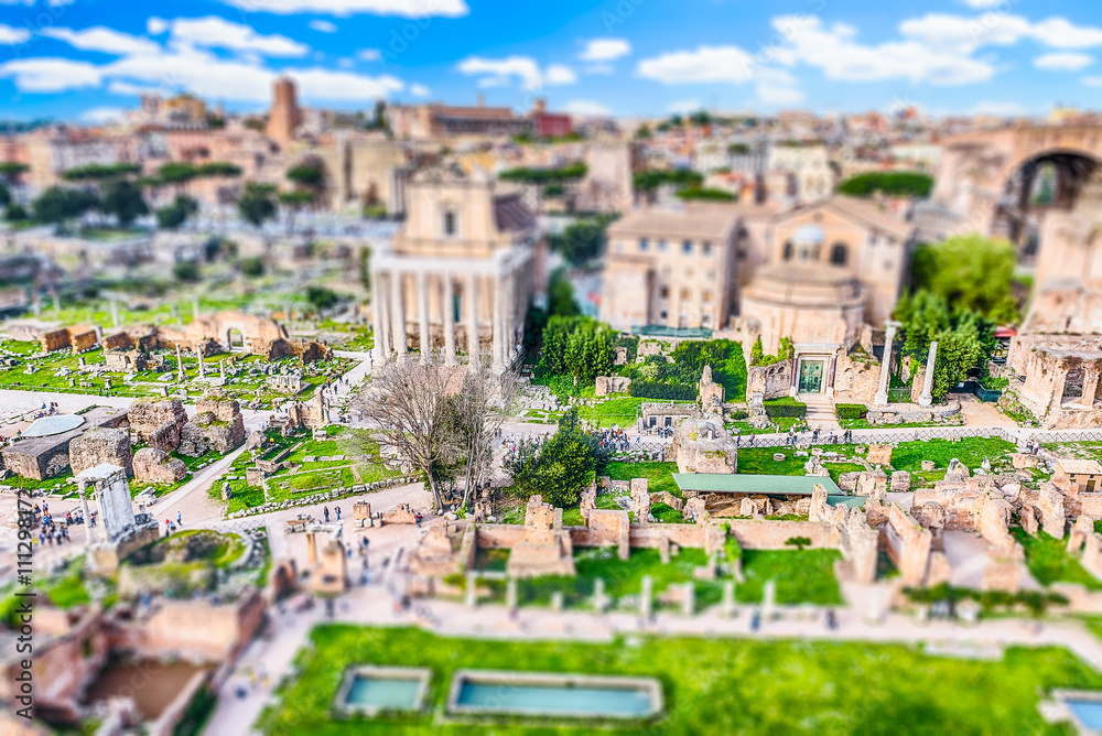 Obraz premium Scenic view over the Roman Forum, Italy. Tilt-shift effect applied