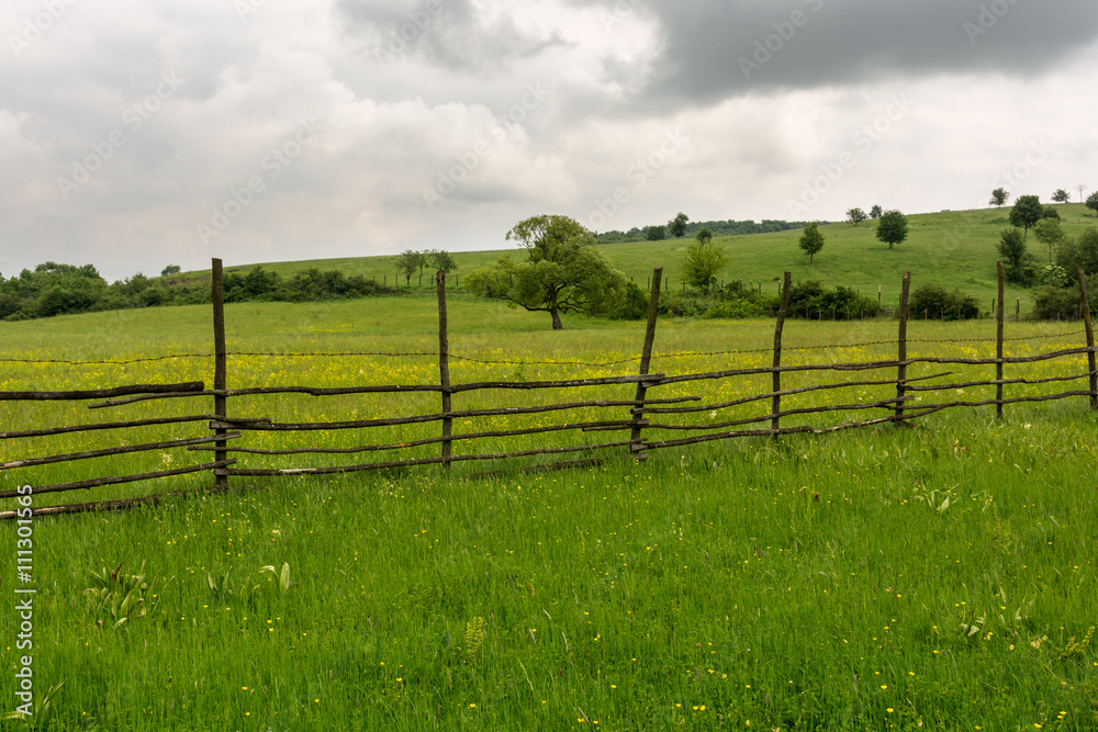 Farmland and wooden fence