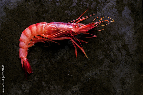 Prawn on a black stone photo